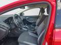 Ford Focus 1.6 TI-VCT Trend Rojo - thumbnail 9