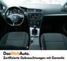 Volkswagen Golf Variant TDI SCR Blu/Azzurro - thumbnail 10
