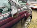 Fiat 500 Fiat 500C MY21 Dolcevita 1.0 Hybrid Faltdach Apple Schwarz - thumbnail 5