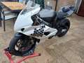 Suzuki GSX-R 1000 Gsxr 1000 k5/k6 circuitmotor Wit - thumbnail 1