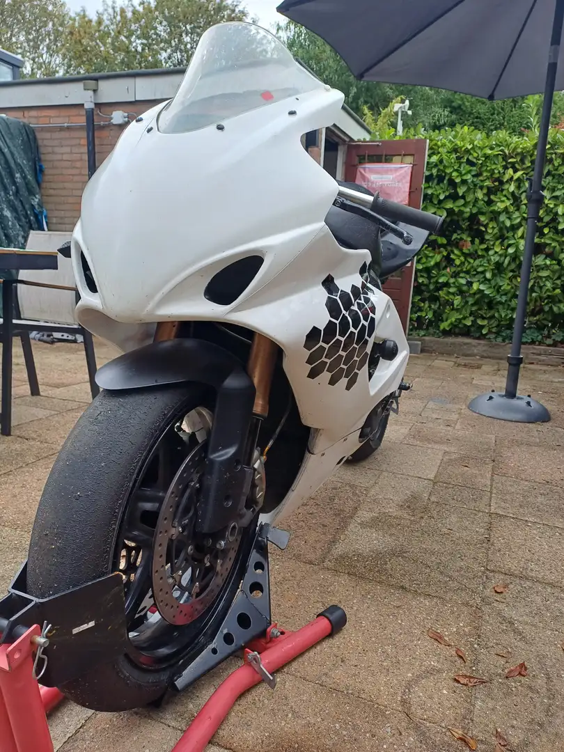 Suzuki GSX-R 1000 Gsxr 1000 k5/k6 circuitmotor Wit - 2