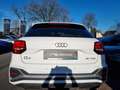 Audi Q2 30 TFSI S line LED/Navi/SHZ/DAB/Allwetter Weiß - thumbnail 5