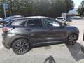 Ford Puma 1,0 EcoBoost Hybrid Titanium Gris - thumbnail 8