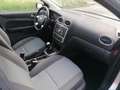 Ford Focus 1.6 Trend Plateado - thumbnail 18