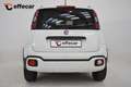 Fiat Panda 1.3 MJT 80 CV Allestimento City Cross White - thumbnail 5