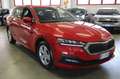Skoda Octavia 2.0 TDI EVO SCR 150 CV DSG Wagon Ambition Rouge - thumbnail 3