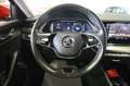 Skoda Octavia 2.0 TDI EVO SCR 150 CV DSG Wagon Ambition Rouge - thumbnail 13