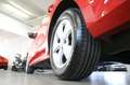 Skoda Octavia 2.0 TDI EVO SCR 150 CV DSG Wagon Ambition Rouge - thumbnail 23