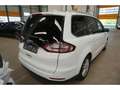 Ford Galaxy 2.0 EcoBlue Titanium AHK Pano S-Dach Key Weiß - thumbnail 4