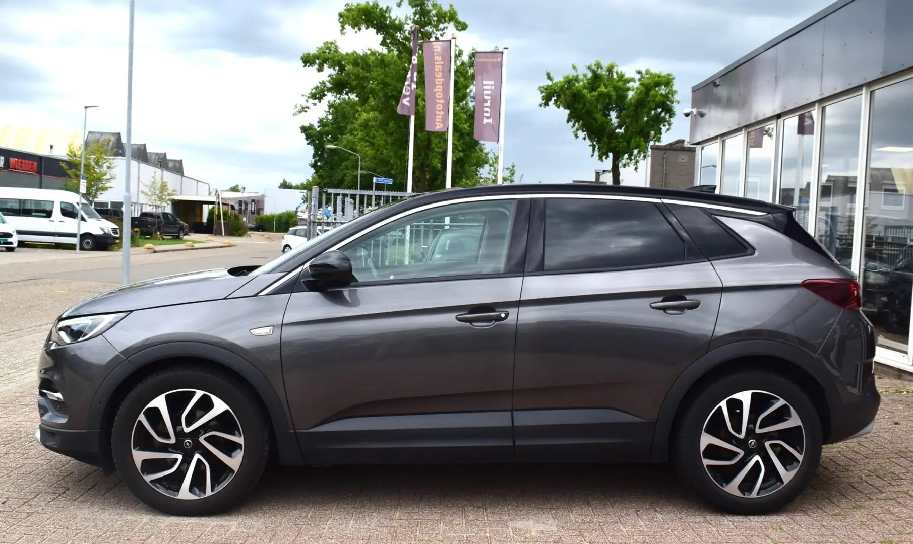 Opel Grandland X 1.2 Turbo Business Executive|AUTOMAAT |CLIMATE en Grijs - 2