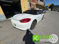 Porsche Boxster 2.7 Wit - thumbnail 9