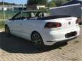 Volkswagen Golf Cabriolet Golf Cabrio 1.6 TDI Exclusive Biały - thumbnail 4