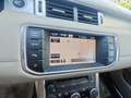 Land Rover Range Rover Evoque 5p 2.2 sd4 Prestige 190cv UNICO PROPR TAGL UFFICI Grijs - thumbnail 16