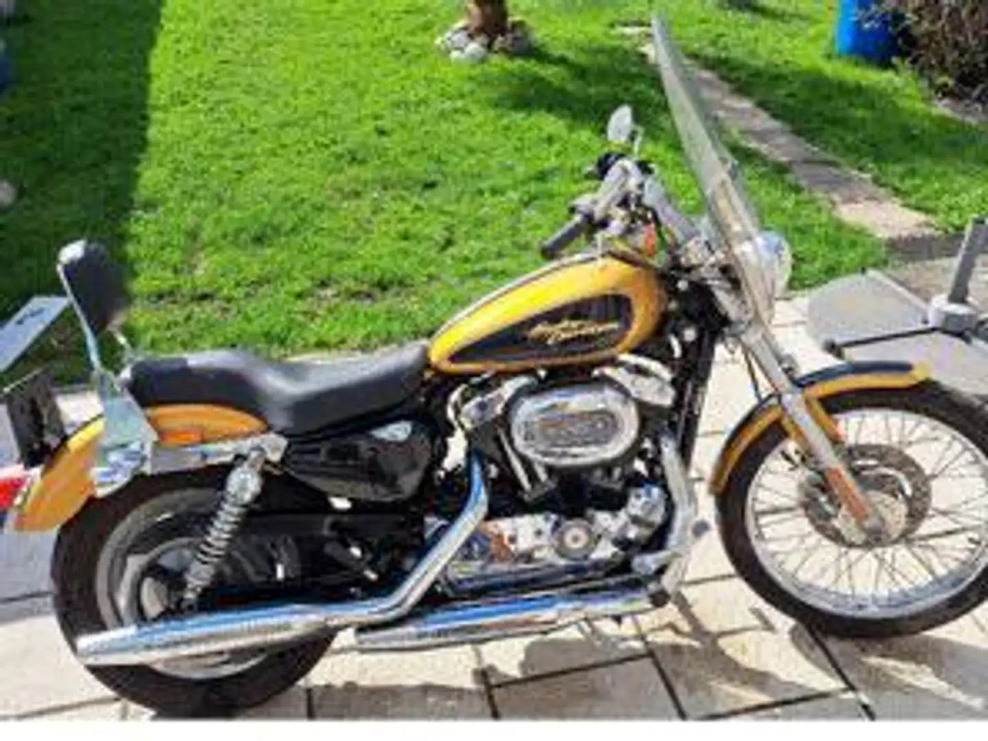 Harley-Davidson Sportster 1200 Custom Jaune - 2