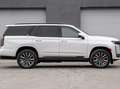 Cadillac Escalade New SUV Sport Platinum €87500 +22" 12-spoke Weiß - thumbnail 5