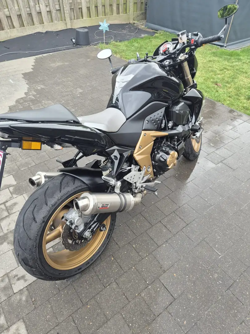 Kawasaki Z 1000 Special Edition Gold Or - 2