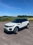 Land Rover Range Rover Evoque SE Weiß - thumbnail 2