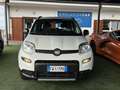 Fiat Panda Panda III 2019 4x4 0.9 t.air t. 4x4 Weiß - thumbnail 2