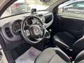 Fiat Panda Panda III 2019 4x4 0.9 t.air t. 4x4 Weiß - thumbnail 7