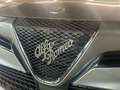 Alfa Romeo Junior Ibrida Gris - thumbnail 25