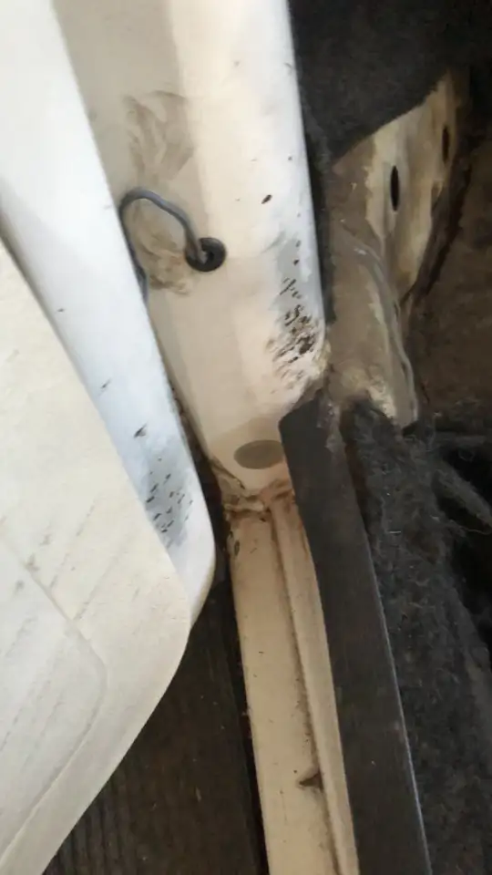 Volkswagen Käfer, foto 6
