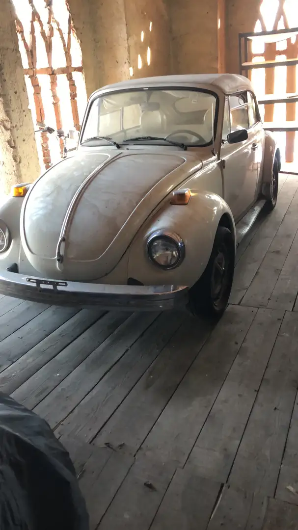 Volkswagen Käfer - 2