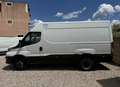 Iveco Daily 35c18 frigo ThermoKing con Atp Bianco - thumbnail 4