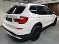 BMW X3 xDrive,Alpinweiß,el.Ahv.,Alu 19 Zoll,PDC+,Sportsitze,Tempomat Weiß - thumbnail 4