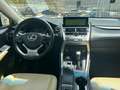 Lexus NX 300 300h Executive 4WD Bleu - thumbnail 11