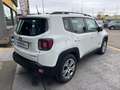 Jeep Renegade 1.6 mjt Limited 120cv AUTOM SENS ANT POST NEOPATEN Wit - thumbnail 10