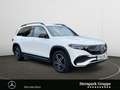 Mercedes-Benz EQB 300 EQB 300 4M AMG Advanced+Night+Totwinkel+LED+Cam+ Blanc - thumbnail 7