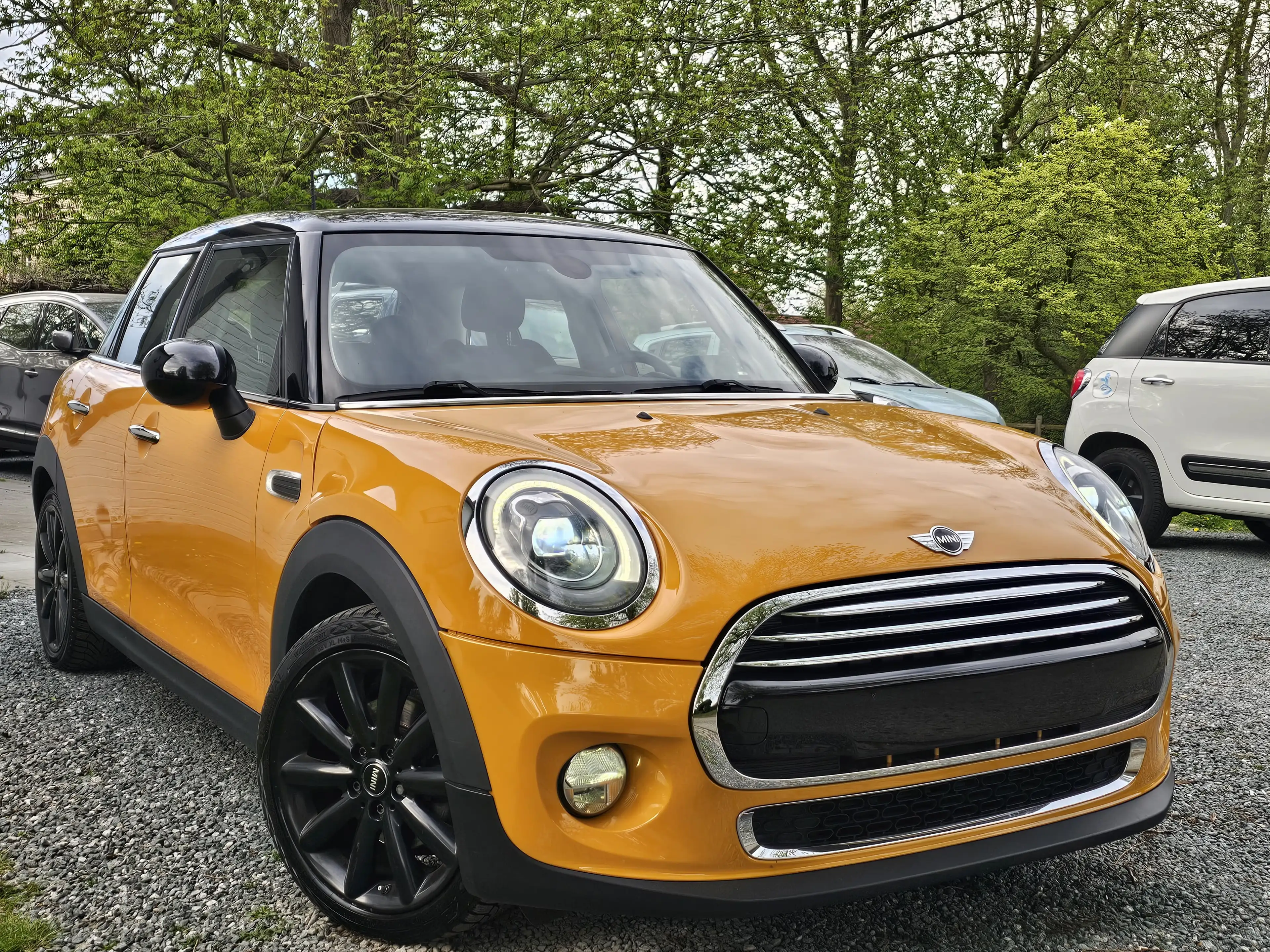 MINI Cooper D 1.5 D* 1 MAIN * EURO 6b * XÉNON+CUIR+NAVI+...*