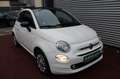 Fiat 500C HYBRID VITA COMFORT KLIMA PDC 1.Hd Weiß - thumbnail 11