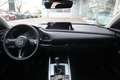 Mazda CX-30 2025 M-Hybrid Homura G-140 NAVI ACAA SHZ HUD RFK V Grau - thumbnail 11