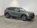 Volkswagen Tiguan Friends TDI 4MOTION DSG Grün - thumbnail 6