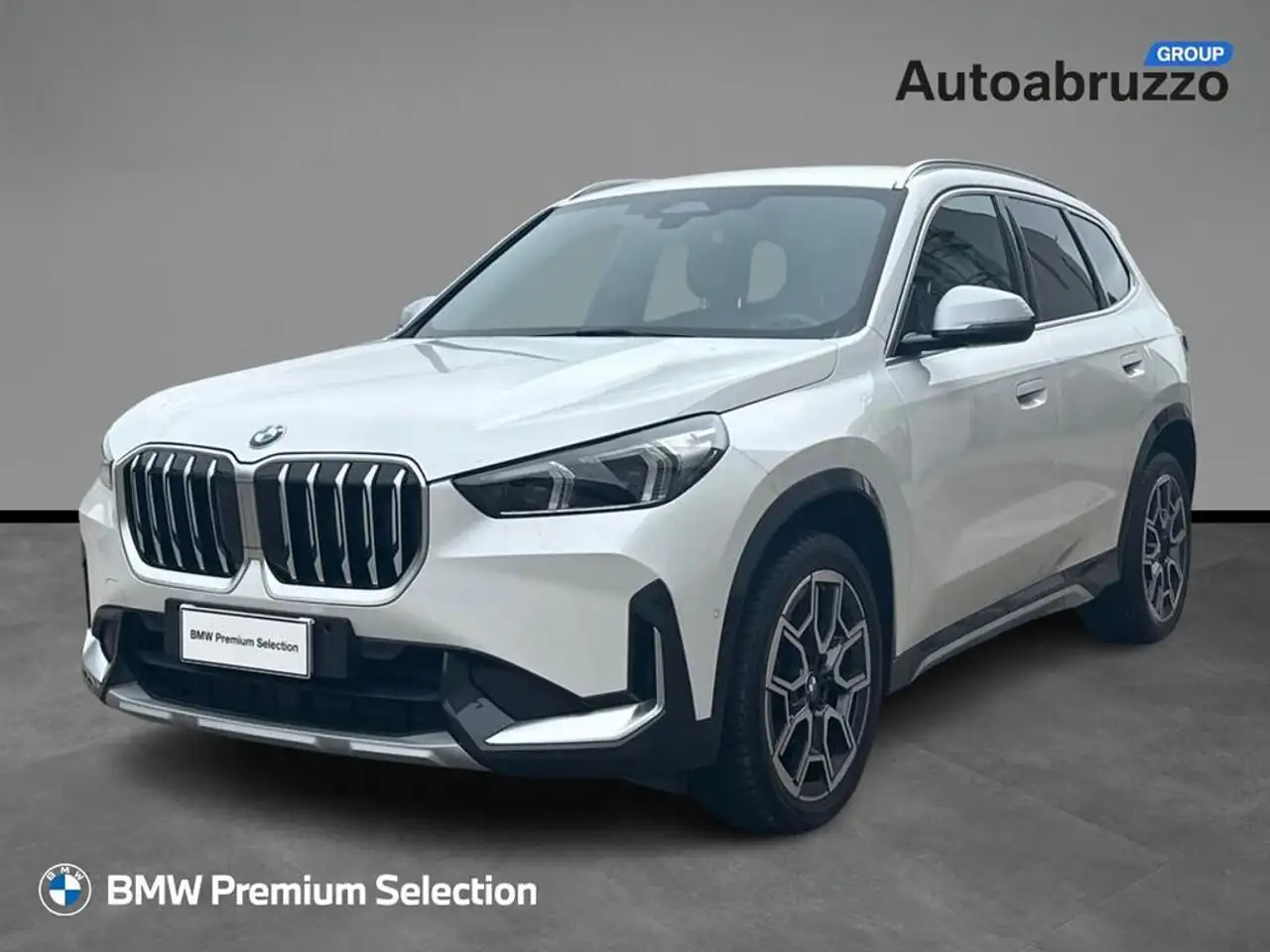 BMW X1 sdrive18d X-Line auto
