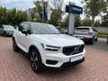 Volvo XC40 Recharge R Design Weiß - thumbnail 12