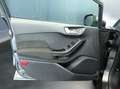 Ford Fiesta Fiesta 1.1 75 CV 5 porte Titanium Grau - thumbnail 23