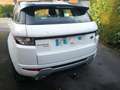 Land Rover Range Rover Evoque Range Rover Evoque Mark I TD4 Dynamic A Blanc - thumbnail 3