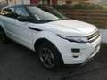 Land Rover Range Rover Evoque Range Rover Evoque Mark I TD4 Dynamic A Blanc - thumbnail 7
