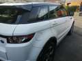 Land Rover Range Rover Evoque Range Rover Evoque Mark I TD4 Dynamic A Blanc - thumbnail 6