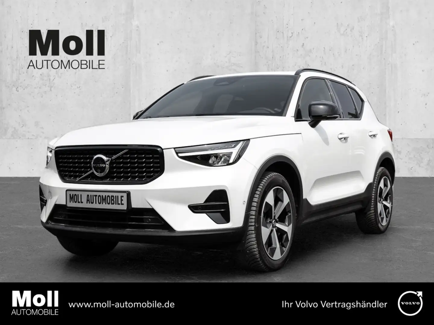 Volvo XC40 Plus Dark 2WD B4 EU6d digitales Cockpit Memory Sit Weiß - 1