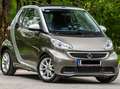 smart forTwo smart fortwo pulse pulse Gelb - thumbnail 3