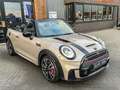 MINI John Cooper Works Cabrio Mini 2.0 JCW Pack F1 aut 231pk Rooftopgrey/Camera/ Grijs - thumbnail 37