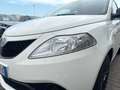 Lancia Ypsilon 1.2 Gold s&s 69cv Blanc - thumbnail 6