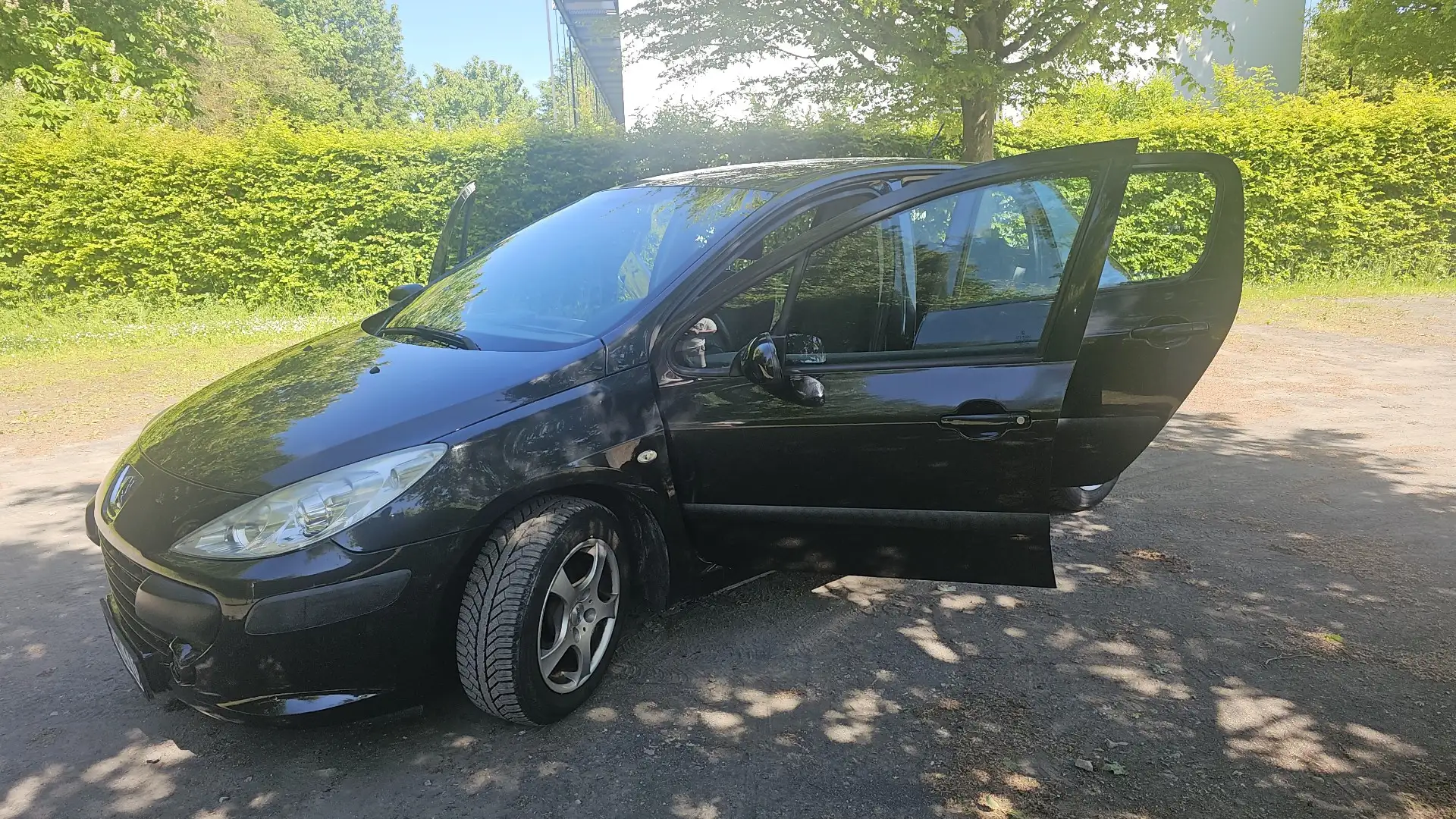 Peugeot 307 Grand Filou Cool Schwarz - 2