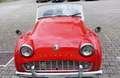 Triumph TR3 triumph tr3 Rosso - thumbnail 1