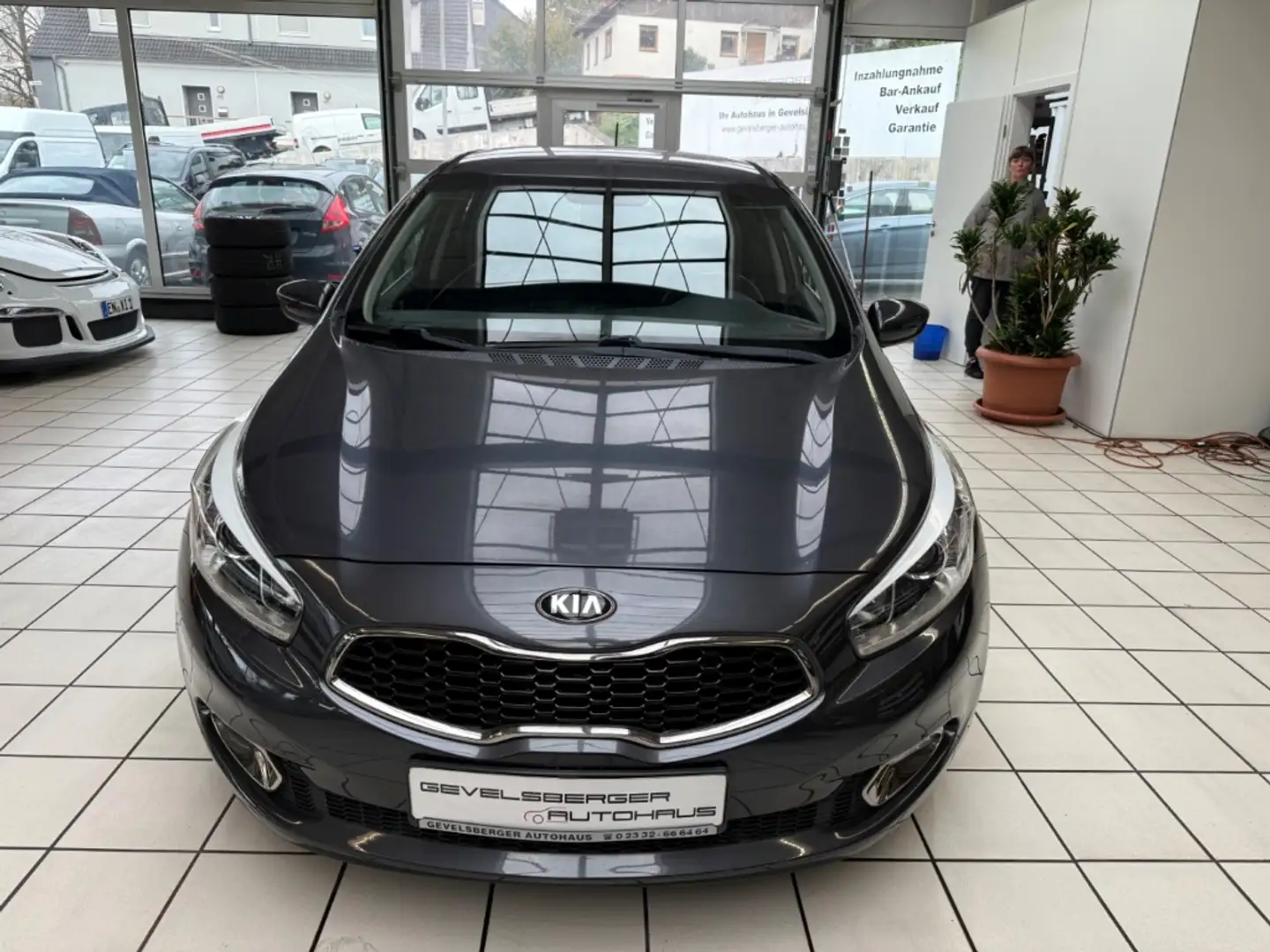 Kia Ceed / cee'd FIFA World Cup Edition 1.6 GDI 1.Hand Mehrzonenkli Grau - 2