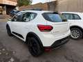 Dacia Sandero III Stepway Expression Weiß - thumbnail 6