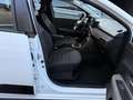Dacia Sandero III Stepway Expression Weiß - thumbnail 14